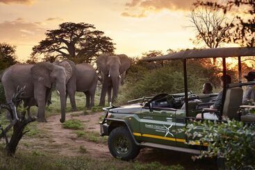هتل Victoria Falls River Lodge