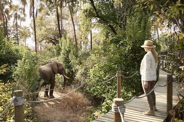هتل Victoria Falls River Lodge
