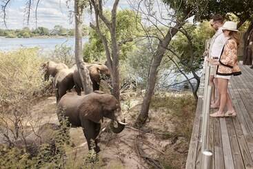 هتل Victoria Falls River Lodge