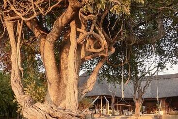 هتل Victoria Falls River Lodge