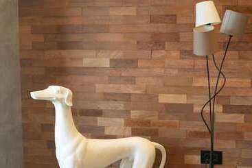 Kame Hotel Belgrade