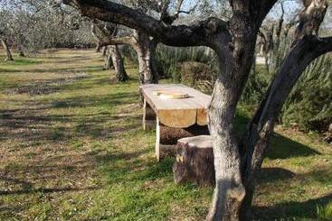 تختخواب و صبحانه Casa Degli Ulivi