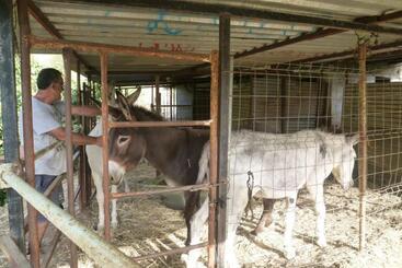 Finca Los Burros - Totalán