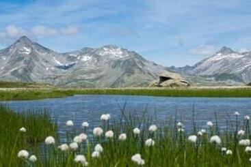 Bed and Breakfast Garni Waldeck