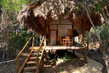 هتل Ecoaraguaia Jungle Lodge