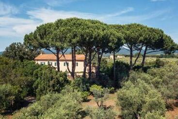 تختخواب و صبحانه Bb Villa Bolgheri Mare