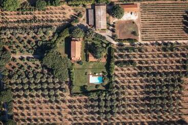 تختخواب و صبحانه Bb Villa Bolgheri Mare