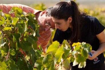 تختخواب و صبحانه Establecimiento La Soleada Suites De Campo