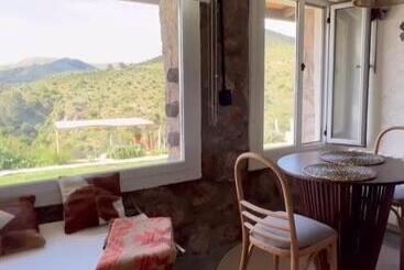 تختخواب و صبحانه Establecimiento La Soleada Suites De Campo
