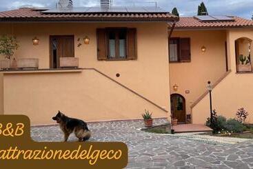 تختخواب و صبحانه Lattrazionedelgeco