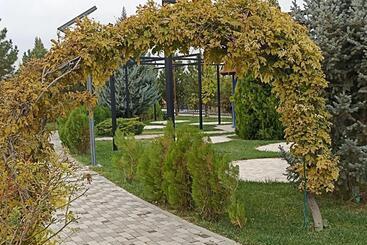 בית מלון כפרי Oasis Sun Club