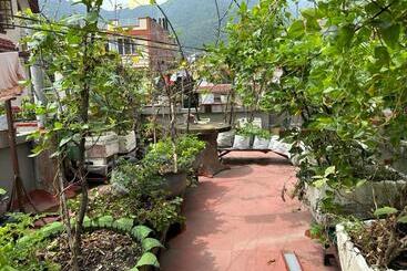 Nepal Bed And Breakfast