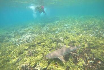 펜션 Perhentian Idaman