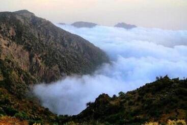 الفاخرية
