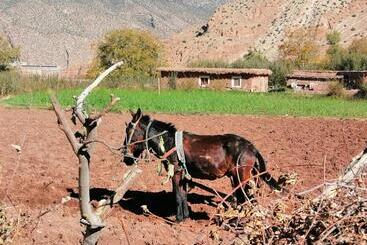 هتل Gite Chez Ali Agouti Maison Berbère