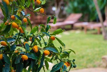 پانسیون Casita Garden&spa