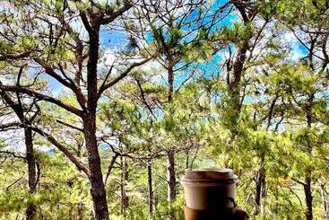Relaxing Forest View At Forest Lodge Hotel, Cjh Private Unit 554