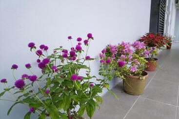 هتل Greenery Rooms