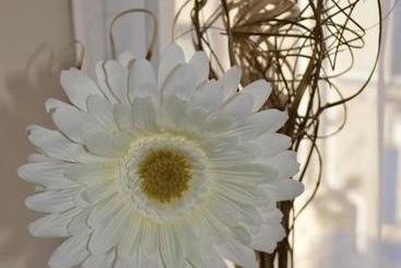 تختخواب و صبحانه Sea Breeze Guest House