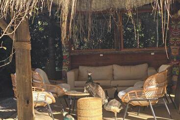 酒店 Apartamentos Premium Con Yacuzzi Dunas Del Este