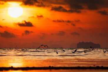 هتل Ibis Styles Phuket City