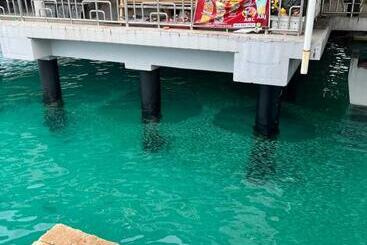 هتل Perhentian Mama S