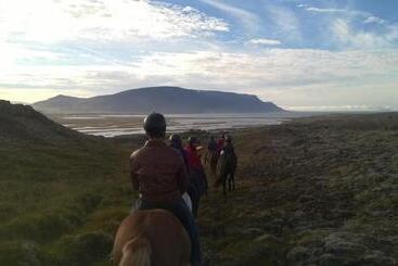 هتل Icelandhorsetours   Helluland
