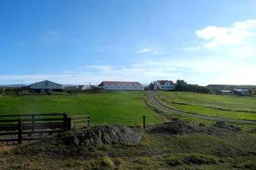 هتل Icelandhorsetours   Helluland