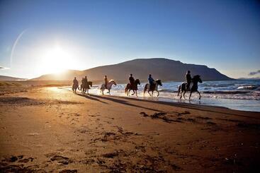 هتل Icelandhorsetours   Helluland
