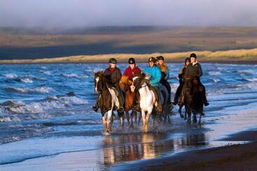 هتل Icelandhorsetours   Helluland