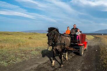 هتل Icelandhorsetours   Helluland