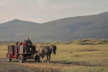 هتل Icelandhorsetours   Helluland