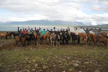 هتل Icelandhorsetours   Helluland