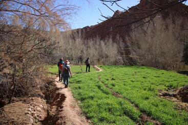 تختخواب و صبحانه Dar Jnan Tiouira Dades