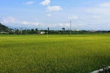 تختخواب و صبحانه Barefoot And Breakfast