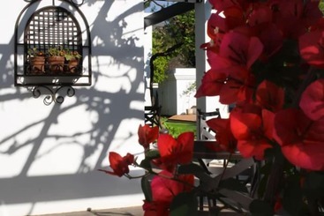 پانسیون Lemon & Lime Guesthouse