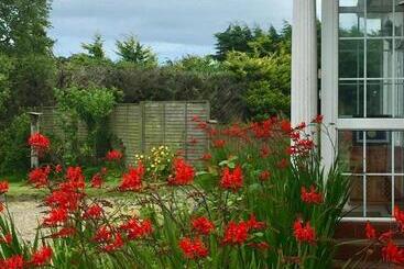 تختخواب و صبحانه Padua Guest Accommodation Rosslare