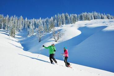 هتل Alpenrose Mühlbach Am Hochkönig