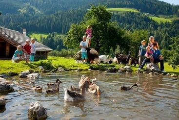 هتل Alpenrose Mühlbach Am Hochkönig