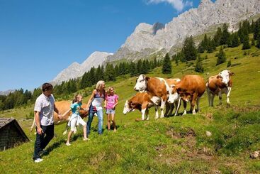 هتل Alpenrose Mühlbach Am Hochkönig