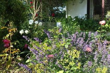 Riverfield Bed And Breakfast