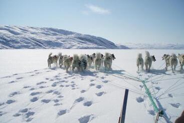 هتل Icefiord
