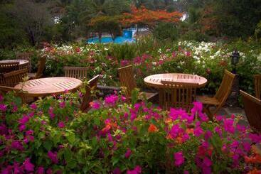 Diani Sea Resort  All Inclusive