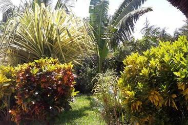 هتل African Dream Cottages   Diani Beach