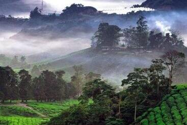 هتل Ou Inn Cameron Highlands ,ferm Nyonya Restaurant