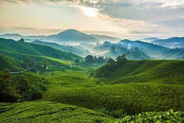 هتل Ou Inn Cameron Highlands ,ferm Nyonya Restaurant