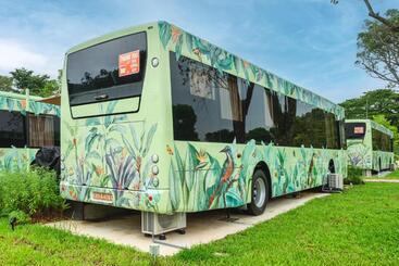 هتل The Bus Collective
