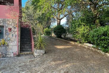 تختخواب و صبحانه Villa Dan
