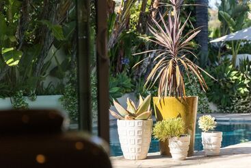 Edwin By Avantstay Hollywood Hills Luxury + Pool