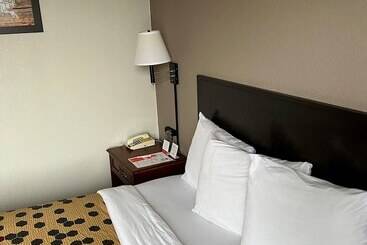 汽车旅馆  Red Carpet Inn